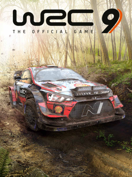 WRC 9 FIA World Rally Championship Deluxe Edition Steam Global